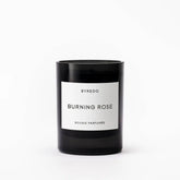 Burning Rose