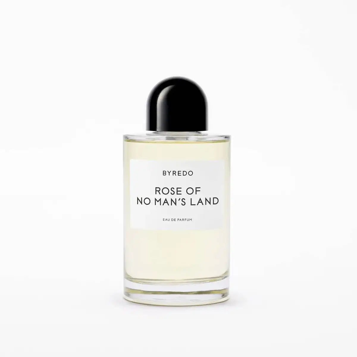 Rose Of No Man's Land