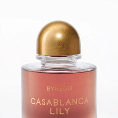 Casablanca Lily